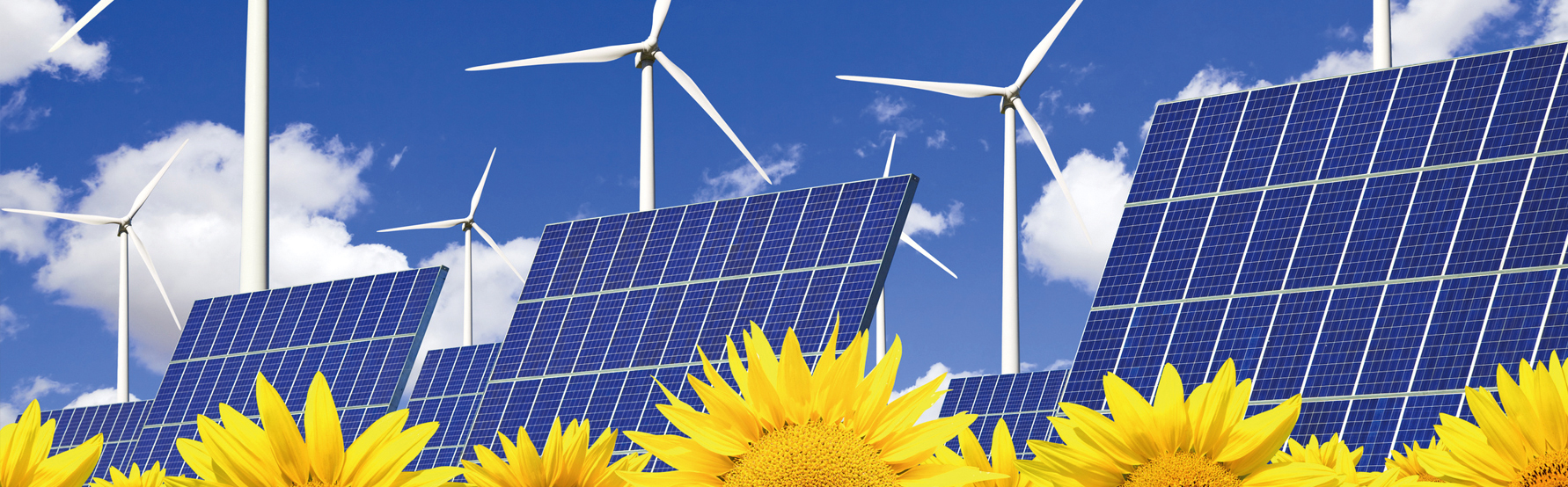 Imagen de paneles solares y girasoles para representar las energías renovables
